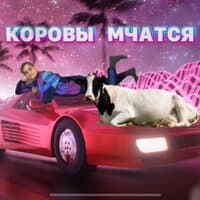 Коровы мчатся