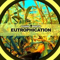 Eutrophication