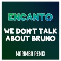 We Don't Talk About Bruno (From "Encanto")