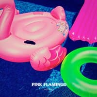 Pink Flamingo