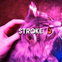 Stroke