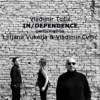 Vladimir Tošić: In/dependence