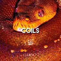 Coils