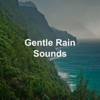 Gentle Rain Sounds