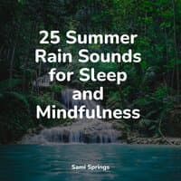 25 Summer Rain Sounds for Sleep and Mindfulness