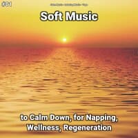 #01 Soft Music to Calm Down, for Napping, Wellness, Regeneration