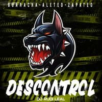 Descontrol