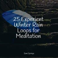 25 Experient Winter Rain Loops for Meditation