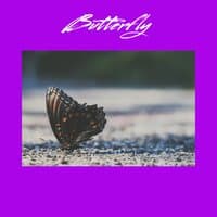 Butterfly (SLOWED)