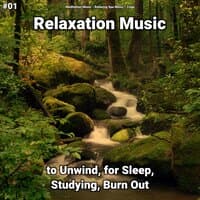 #01 Relaxation Music to Unwind, for Sleep, Studying, Burn Out