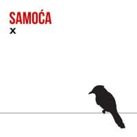 Samoca