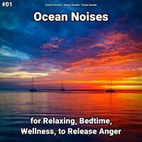 #01 Ocean Noises for Relaxing, Bedtime, Wellness, to Release Anger