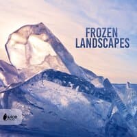 Frozen Landscapes