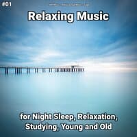 #01 Relaxing Music for Night Sleep, Relaxation, Studying, Young and Old