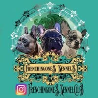 Frenchingones kennel club