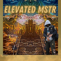 Elevated MSTR