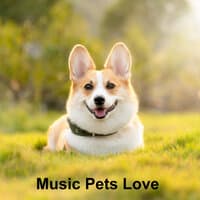 Music Pets Love