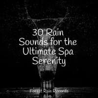 30 Rain Sounds for the Ultimate Spa Serenity