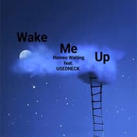 Wake Me Up