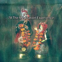 78 The Meditation Experience