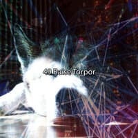 49 Raise Torpor