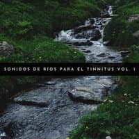 Sonidos De Ríos Para El Tinnitus Vol. 1