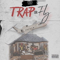 Trap Or Fly