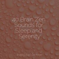 40 Brain Zen Sounds for Sleep and Serenity