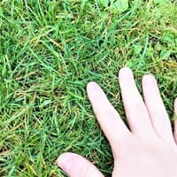 Touched Grass