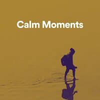 Calm Moments