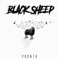 Black Sheep