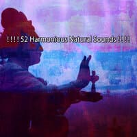 52 Harmonious Natural Sounds