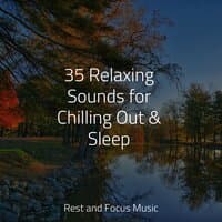 35 Relaxing Sounds for Chilling Out & Sleep