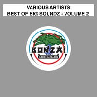 Best Of Big Big Soundz - Volume 2