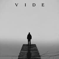 VIDE