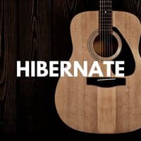 Acoustic Twuntwo Hibernate