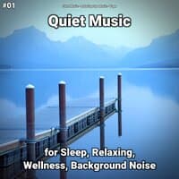 #01 Quiet Music for Sleep, Relaxing, Wellness, Background Noise