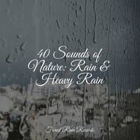 40 Sounds of Nature: Rain & Heavy Rain