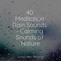 40 Meditation Rain Sounds - Calming Sounds of Nature