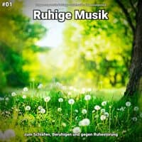 #01 Ruhige Musik zum Schlafen, Beruhigen und gegen Ruhestörung