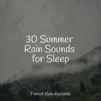 30 Summer Rain Sounds for Sleep