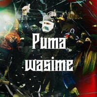 Puma Wasime