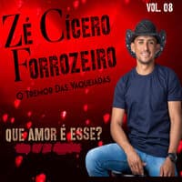 Que Amor É Esse? Vol. 8