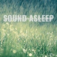 Sound Asleep: Gentle Garden Lawn Grass Rain Sounds