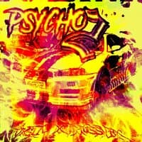 PSYCHO 2