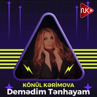 Demədim Tənhayam