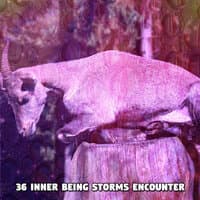 36 Inner Being Storms Encounter