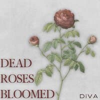 Dead Roses Bloomed