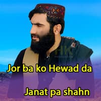 Jor ba ko Hewad da Janat pa shahn