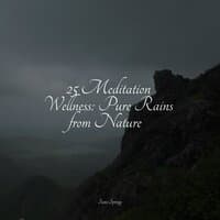 25 Meditation Wellness: Pure Rains from Nature